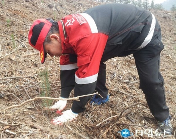 북부지방산림청 첫 나무심기 올해 224만 그루 계획