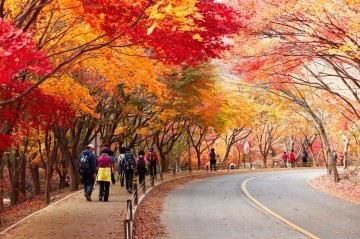 [기고] 가을산행 사고예방 방법 무엇이 있을까?