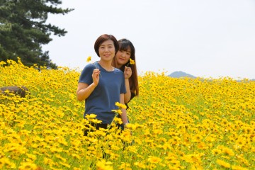 화원읍, 금계국 꽃동산 조성