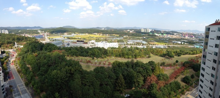 대전 유성구, 4억 들여 치유의 숲 조성