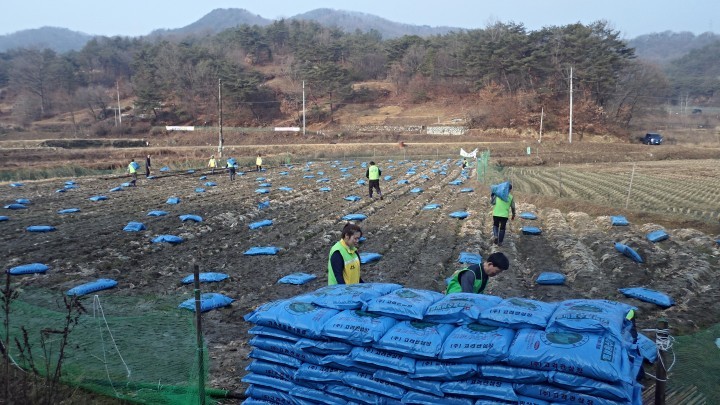 대전 중구, ‘행복나눔 농장’ 퇴비살포 자원봉사