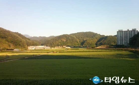 단양군 매포읍 비소·납 등 중금속 오염 ‘위험수준’