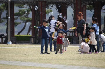 영주시농업기술센터 꿀벌꽃가루 유효성분 침출방법 특허등록