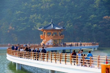 옥연지 송해공원, 내년 3월 생태공원 조성사업 완료예정