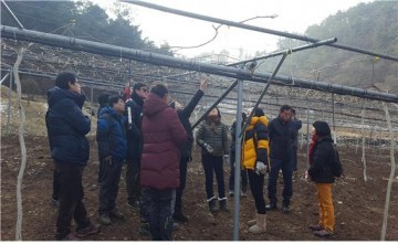 고품질 토종다래 생산 