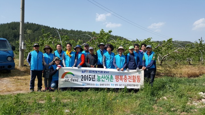  영덕군 영해면 묘곡리 과수목 적과 작업