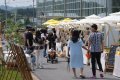 제천의 대지(大地)와 도심이 만난다… ‘2026 영파머스마켓’ 개장