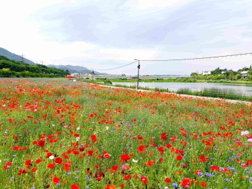장성군,  황룡강서 ‘장성 황룡강 음악힐링축제’ 개최  