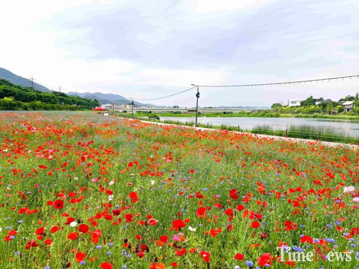 장성군,  황룡강서 ‘장성 황룡강 음악힐링축제’ 개최  