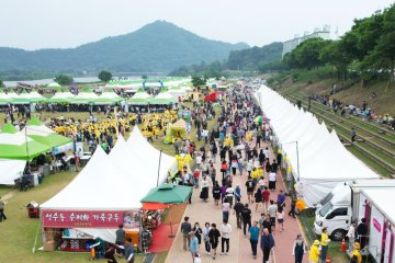 나주시, 영산포 홍어·한우축제 15만 명 방문…지역 대표 미식축제 위상 재확인  