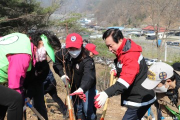 안동시,「제78회 식목일」기념 시민 나무심기 행사