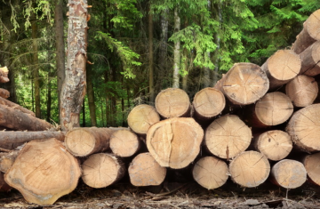임업 경쟁력 제고·산림 6차 산업 활성화하는 화순군