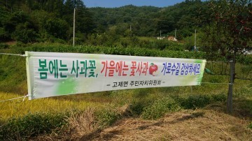 고제면으로 가을 꽃사과 구경오세요