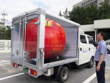 초대형 충주사과 발견?