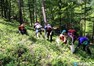 영양군, 청정 자연에서 열리는 ‘제14회 영양산나물축제’ 개최