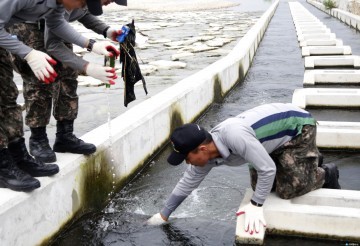 원주시 군과 함께하는 '자연정화 활동'