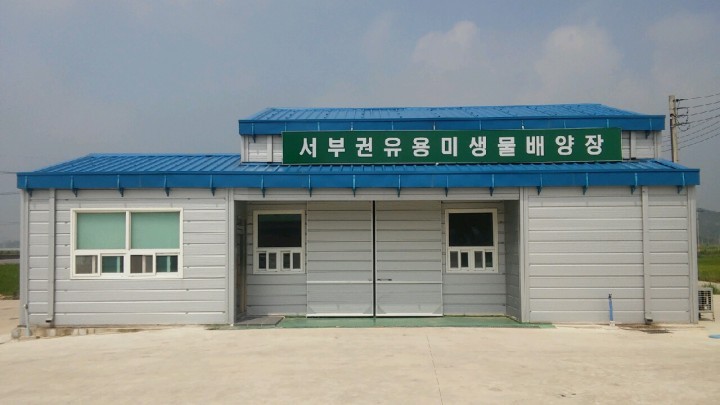 신안군, 명품 시금치 안정생산에 총력 지원