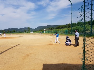 고령군청 가야돌이 야구단 최고의 강팀으로 부상