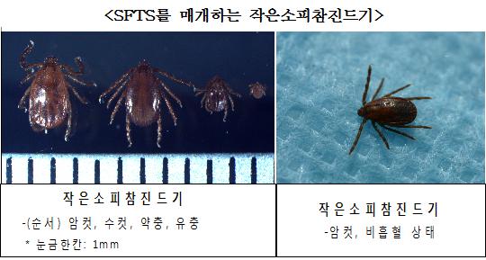 영주시보건소 야외 활동시 진드기 주의 당부!!!