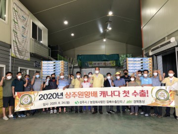 상주 원황배 캐나다 첫 수출 길에 오르며 새로운 판로 개척