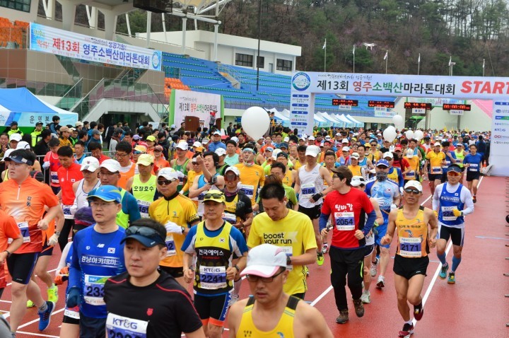 서울·경기 마라톤클럽, 영주소백산마라톤 올인 