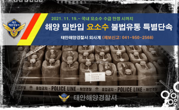 해양 밀반입 요소수 특별단속 강화
