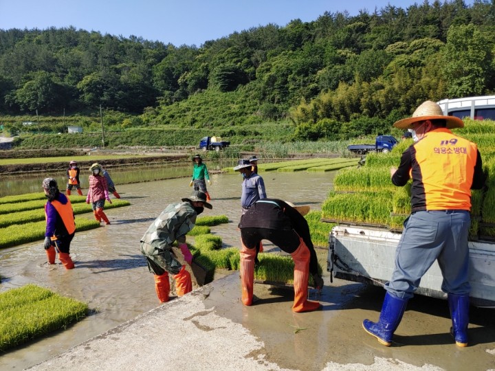 순천 별량의용소방대 ‘한마음’ 농촌일손돕기