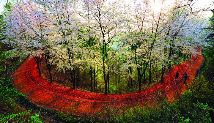 대전시, 대전의 꼭 가볼만한 곳 40개소 선정