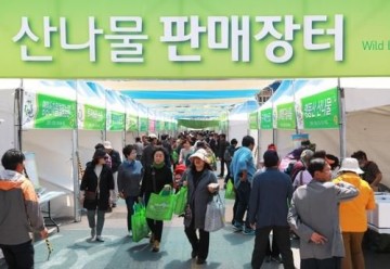 "봄의 전설, 산나물의 향연"… 제21회 영양 산나물축제 내달 7일 개막