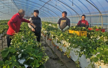 경주시, 1분기 외국인 계절근로자 156명 선발…농촌 인력난 해소 기대