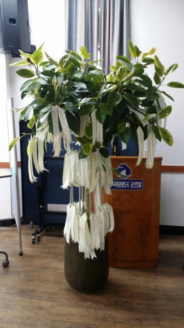 군산시 옥서면, ‘옥서 드림트리’ 랜드마크 선포식 성황리 개최