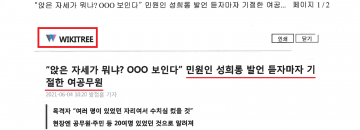 5보,꽃지주차장 1만 평,수의계약한 소장 曰, '양승조도지사에게 보고' '행정은 여 공무원 전담'..