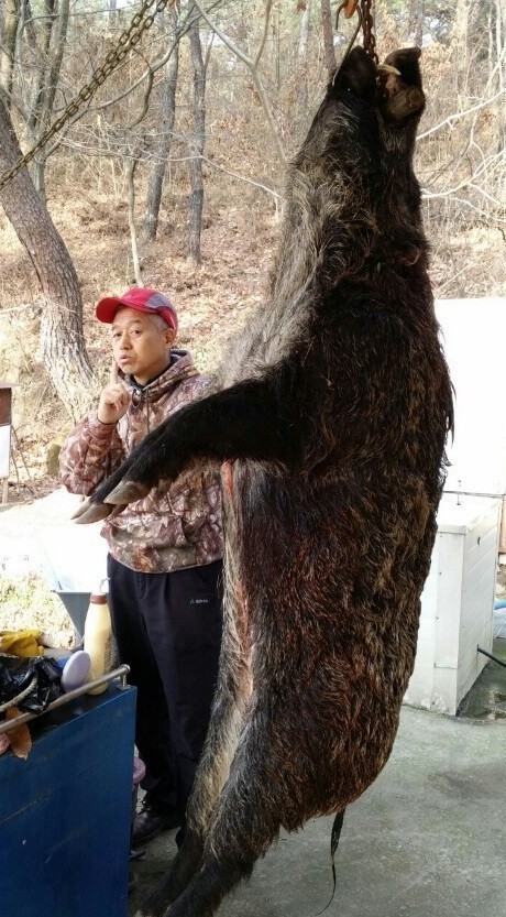농작물 보호 위해 유해야생동물 대리포획단 운영