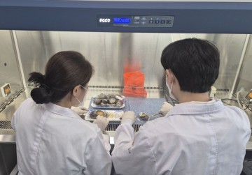 광주시, 수산물 주의…여름철 비브리오균 증가세 