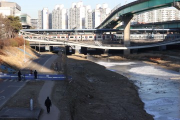 '엿가락다리' 도림보도육교, 설계·시공·관리 '총체적 부실'