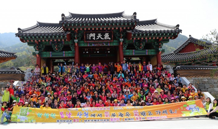 봄 타러 산청으로 놀러오세요! 