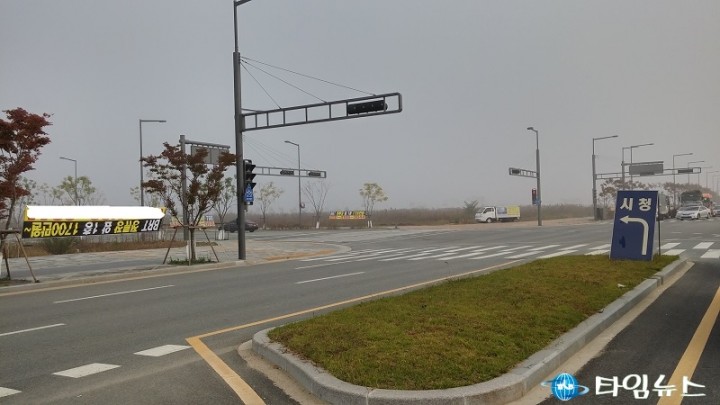 세종시, 시청 앞 도로변 불법현수막 도배