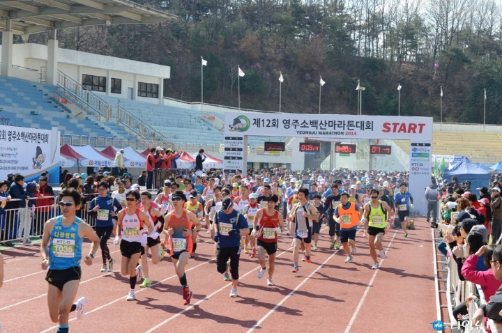 영주 소백산마라톤 대회, 꽃길을 달린다