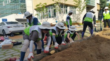 광주광역시 농업기술센터 마스터가드너, 청소년삶디자인센터에 텃밭정원 조성 