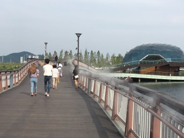 세종시, 폭염저감시설 ‘쿨링포그’ 세종호수공원에 설치