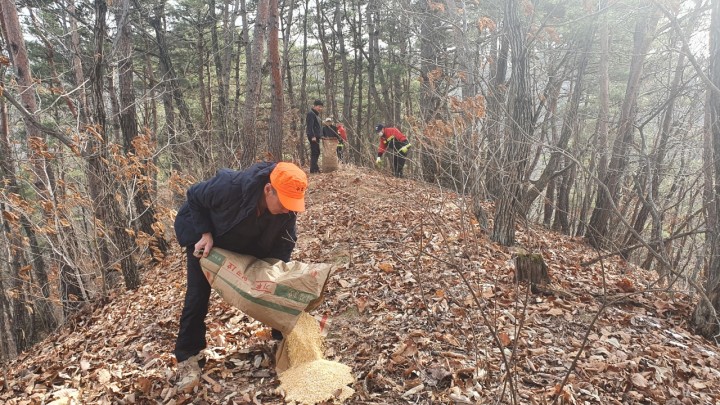 봉화군, '야생동물 먹이주기' 행사 열어