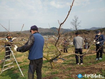 무공수훈자회 충북지부 봉사단, 복숭아 농가 일손돕기 봉사 실시
