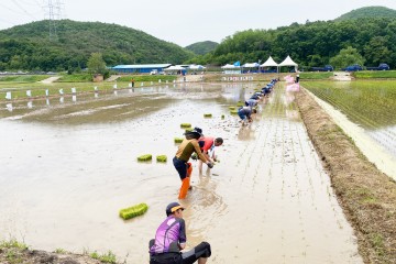 청송군 농민회,  풍년기원제 및 통일쌀 손모내기 행사 개최