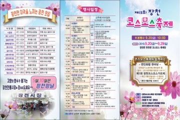 "제13회 장천 코스모스 축제"  개최