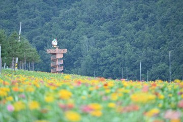 산소카페 청송정원, 꽃길만 걷게 해줄게!