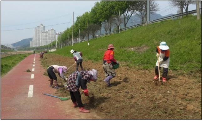 대전 동구, ‘대별수변공원’ 산책로 꽃길 조성