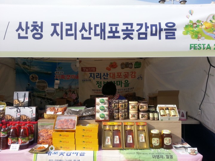 산청 대포정보화마을 '2015 정보화마을 Festa' 참가