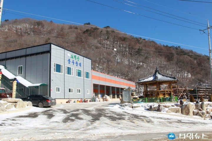 예천 소백산 용두 황태 본격 생산