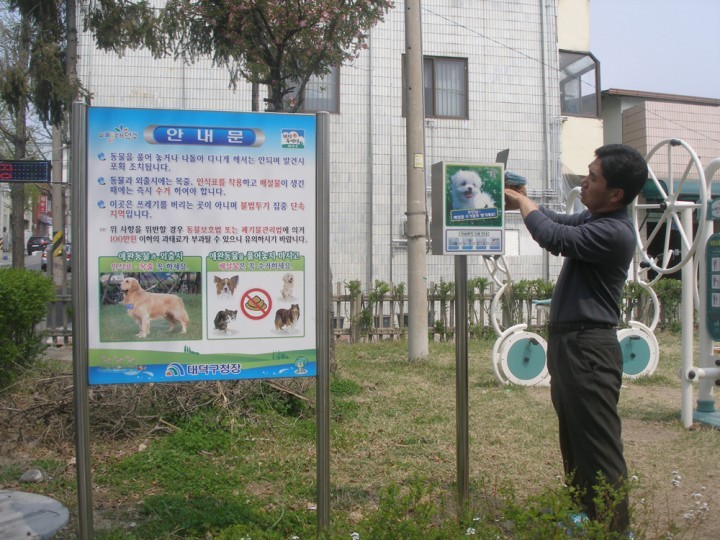 대전 대덕구, 애견 홍보용 배설물 수거봉투 지원
