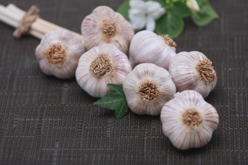 6쪽마늘로 둔갑한 난지형 마늘 주의 당부하는 서산시